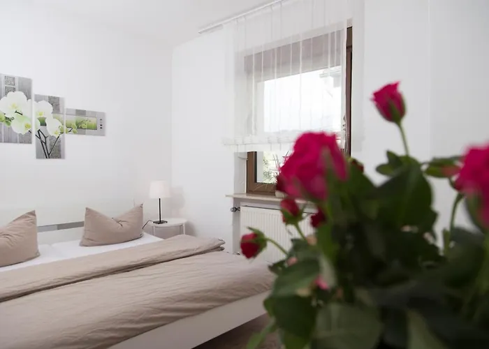 Gaestehaus La Mula 3*